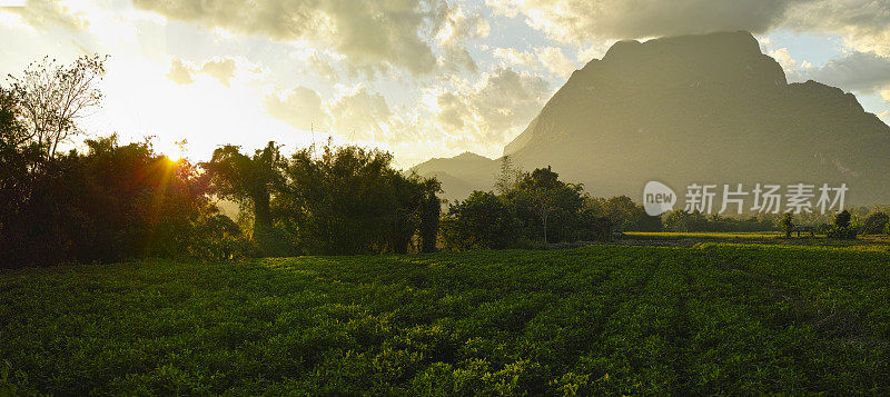 Doi Luang 山和清道。